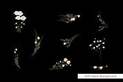 Yellow Bohemian Wildflower, an Illustration by ryelart.design (Thumbnail 3 of 4)