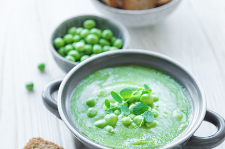 Fresh vegetable soup made of green peas, a Food & Drink Photo by Olena Rudo