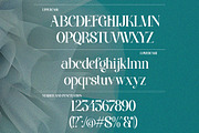 Grandi Ligatura - Modern Luxury, a Serif Font by Qweera Studio (Thumbnail 12 of 12)