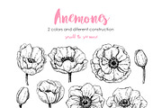 Anemone. Hand Drawn Flower Set, a Graphic by Epine (Thumbnail 2 of 7)