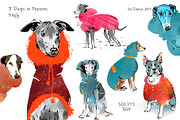 Wise Dogs in Popons III: 6 cards, an Illustration by Zooza Art (Thumbnail 2 of 6)
