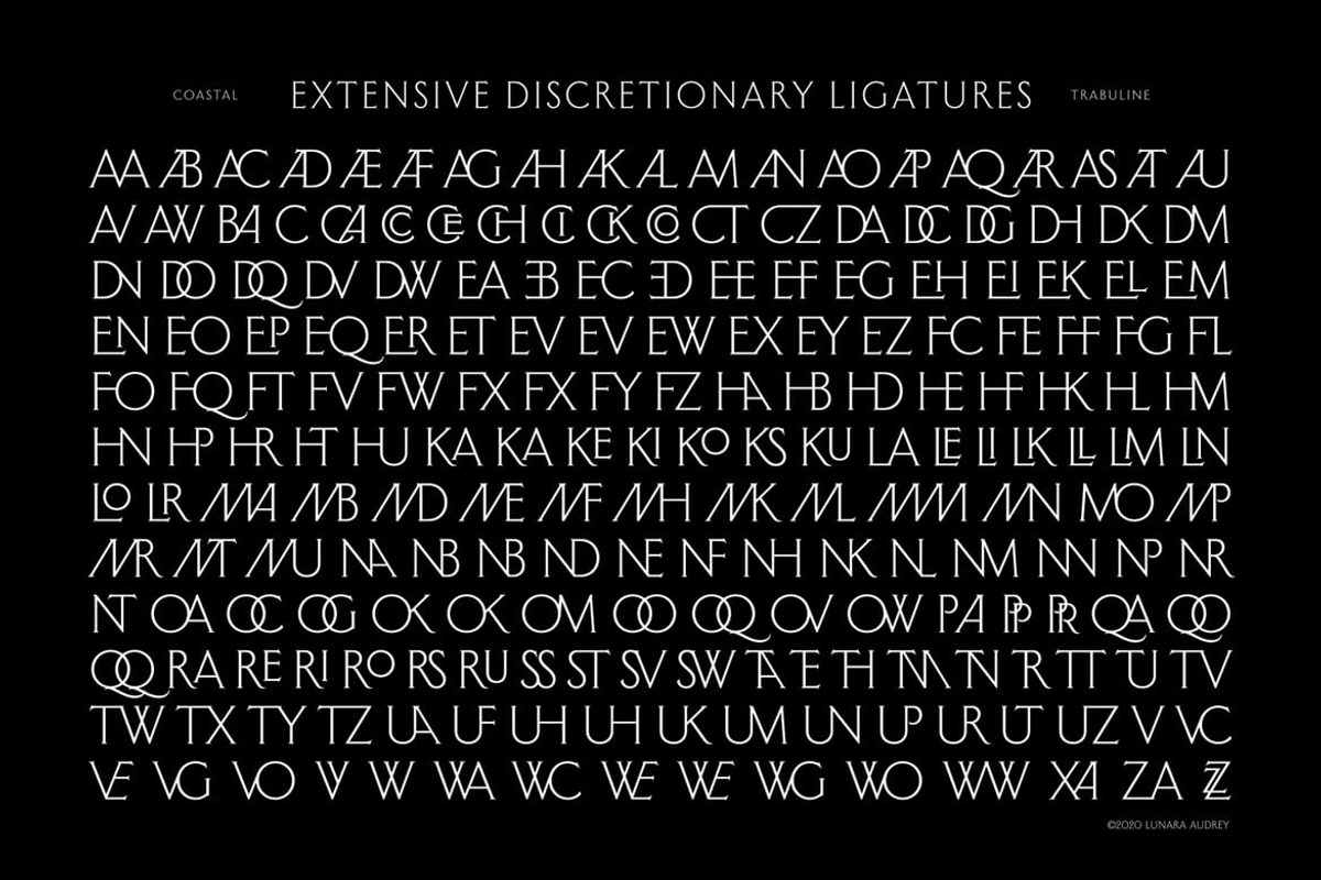 Trbailm - Serif Ligatures Font, a Serif Font by Luna Shop (Photo 6 of 6)
