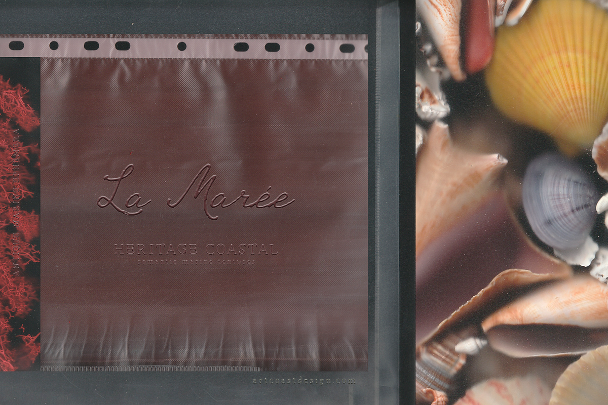 La Maree — Coastal Ephemera, a Background Graphic by nadispasibenko (Photo 4 of 9)