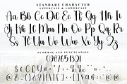 Teacher Holiday, a Handwritten Font by FreshTypeINK (Thumbnail 4 of 8)
