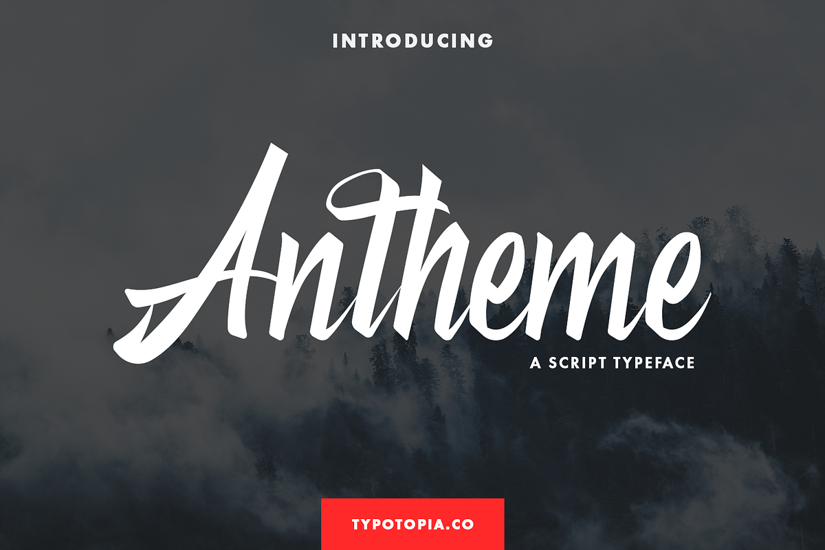 Antheme Script Typeface, a Script Font by edukka (Photo 1 of 10)