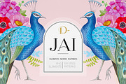 JAI Collection, a Decorative Illustration by Dana Designs (Thumbnail 1 of 14)