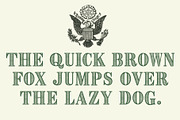 CASH, a Serif Font by Loudoun Design Co. (Thumbnail 7 of 7)