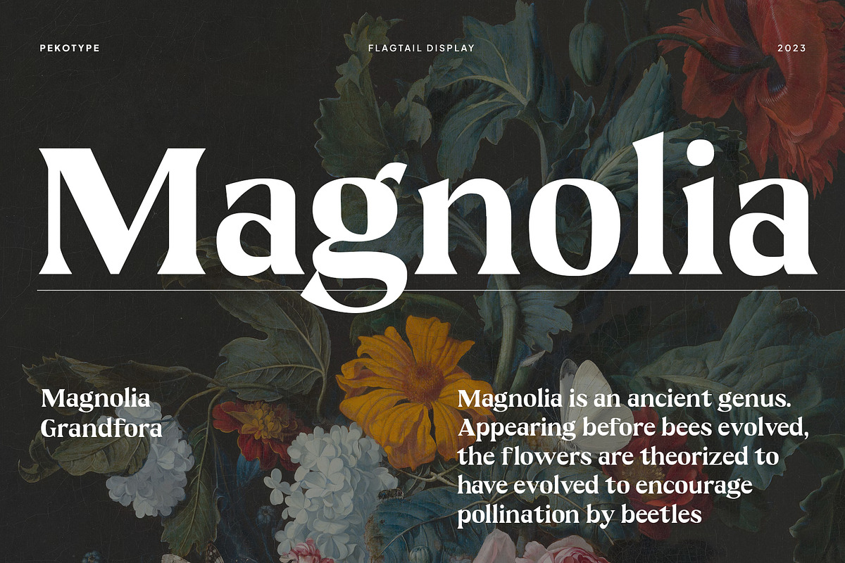Flagtail Display - Modern Serif, a Serif Font by Pekotype (Photo 3 of 6)