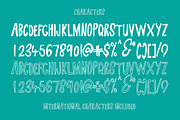 Berry Merry Font, a Font by Creativeqube Design (Thumbnail 4 of 4)
