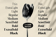 Slotera Calse Family Serif, a Serif Font by Marvadesign (Thumbnail 12 of 12)