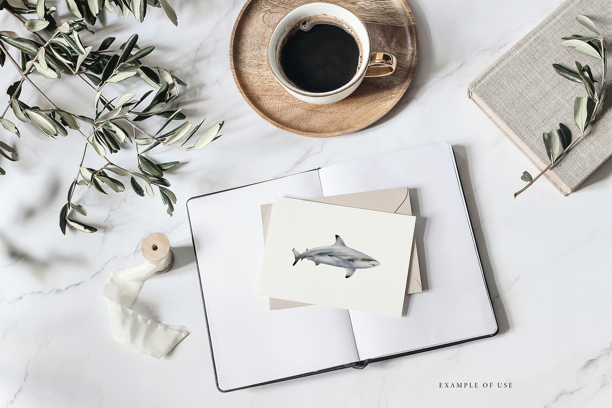 Watercolor Sharks. Ocean animals set, an Animal Illustration by Diana Askarova Art (Photo 6 of 9)