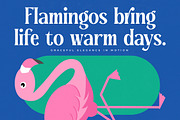 Regolvis Modern Display Serif, a Serif Font by timelesstype.co (Thumbnail 16 of 20)