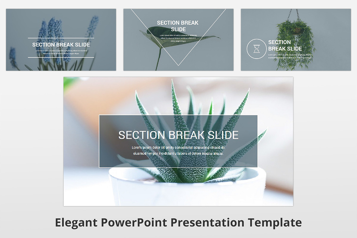 Elegant PowerPoint Template, a Presentation Template by GraphicStan (Photo 21 of 21)