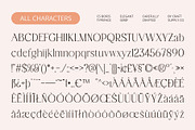 CS Boris – Elegant Font, a Serif Font by Craft Supply Co. (Thumbnail 8 of 8)