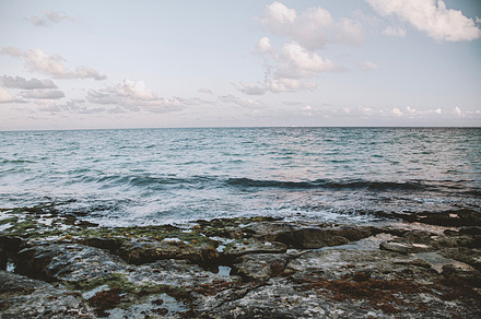 Rocky beach in Playa del Carmen, MX