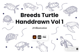 Turtle Breeds Hand Drawn, an Animal Illustration by SLAB! Design