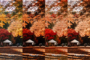 25 Autumnal Photoshop Actions