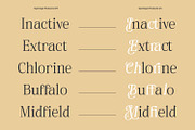 Naivelist, a Serif Font by din-studio.com (Thumbnail 7 of 10)