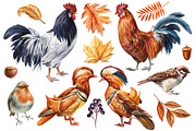 Harvest Thanksgiving fall clipart, a Decorative Illustration by Hanna Hryharenka (Thumbnail 2 of 20)