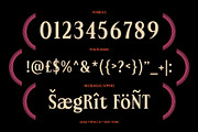 Segrit – Classic Vintage Font, a Serif Font by Drizy (Thumbnail 6 of 10)