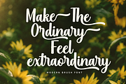 Coiltper - Modern Brush Font, a Handwritten Font by RHD Creative Studio (Thumbnail 6 of 6)