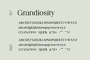 Grandiosity Elegant Serif Font, a Serif Font by UICreative (Thumbnail 9 of 13)