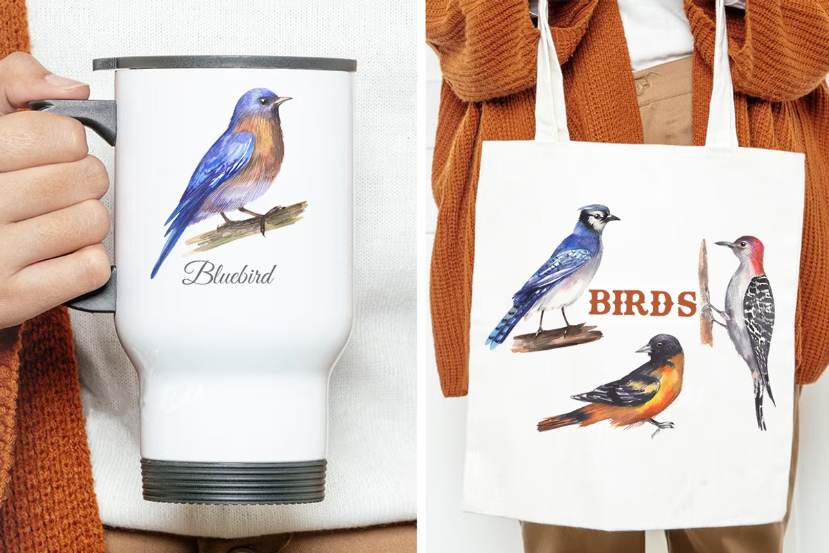 Backyard Birds of North America, an Animal Illustration by FITALARTSNEDIGI (Photo 8 of 8)