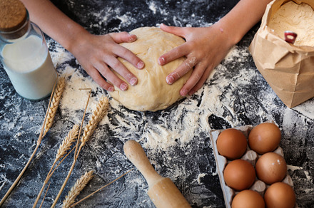 Knead the dough with the ingredients containing dough, pizza, and bread