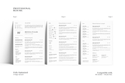 5 Page Professional Resume Template, a Resume Template by GraphicFlava (Thumbnail 3 of 8)