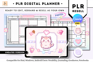PLR Resell Pink Digital Planner
