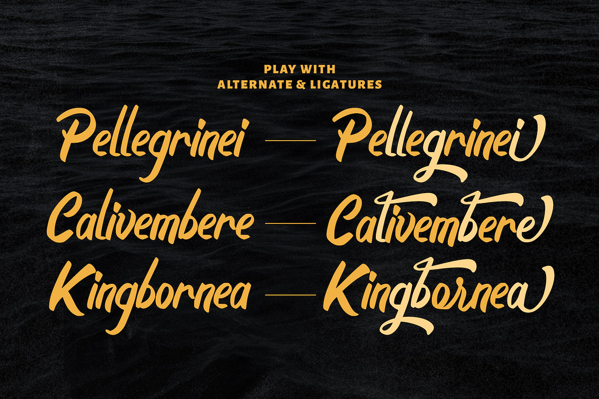 Boyna - Bold Script Font, a Script Font by StringLabs (Photo 10 of 14)