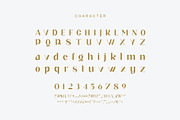galink Modern Ligature Serif, a Serif Font by Humaira_std (Thumbnail 9 of 10)