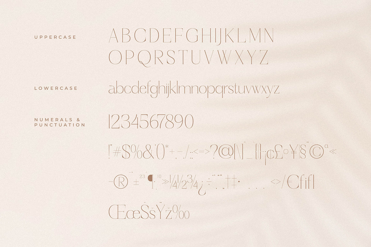 Haloyen Stylish Font Serif, a Serif Font by Storytype Studio (Photo 13 of 15)