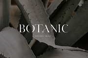 Modern Font Bundle | SALE, a Sans Serif Font by elvinova (Thumbnail 3 of 36)