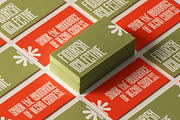 SLTF Snowpack - Ultra Condensed Font, a Sans Serif Font by SilverStag Type Foundry (Thumbnail 3 of 30)