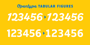 American Auto, a Sans Serif Font by Miller Type Foundry (Thumbnail 18 of 20)