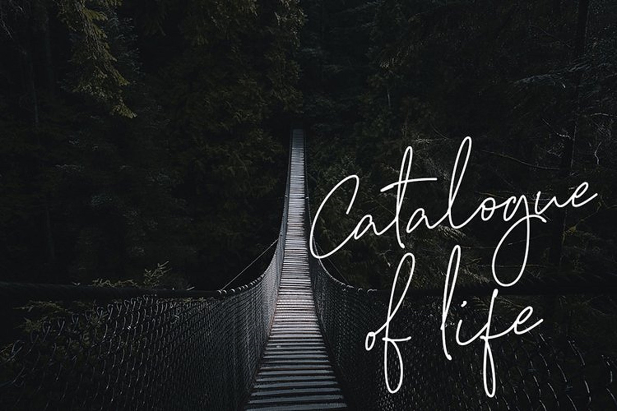 Bulqeusfertom – Elegant Font Vol 2, a Handwritten Font by Black Junst (Photo 9 of 15)
