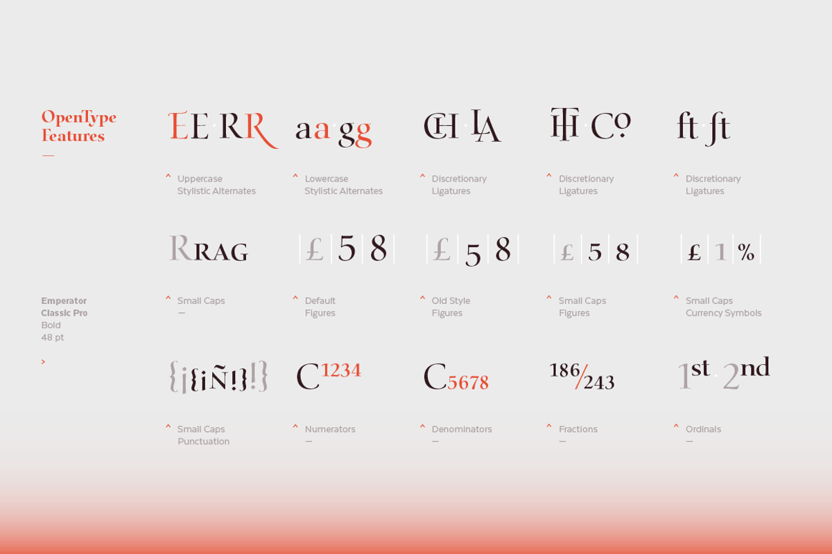 Emperator, a Serif Font by Latinotype (Photo 14 of 15)