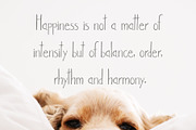 Versova Handmade Font, a Script Font by Creativetacos (Thumbnail 5 of 6)