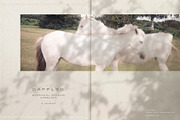 Dappled - Botanical Shadow Overlays, a Texture Graphic by alonahaidash (Thumbnail 4 of 16)