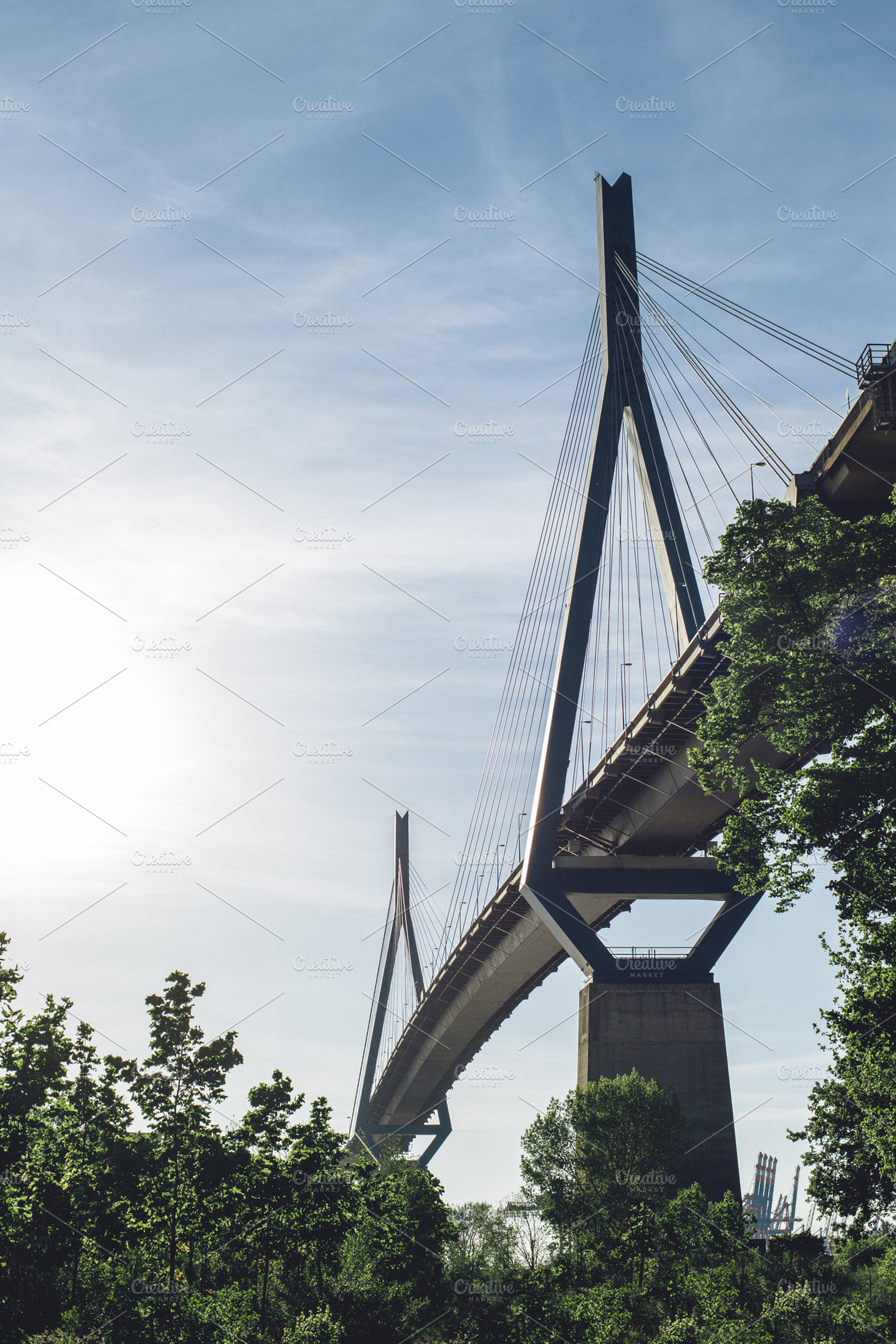 Bridge Over Forest Featuring Nature Bridge And Traffic