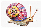 Little Mermaid Under the Sea Clipart, an Illustration by Sublimation Artist (Thumbnail 3 of 6)