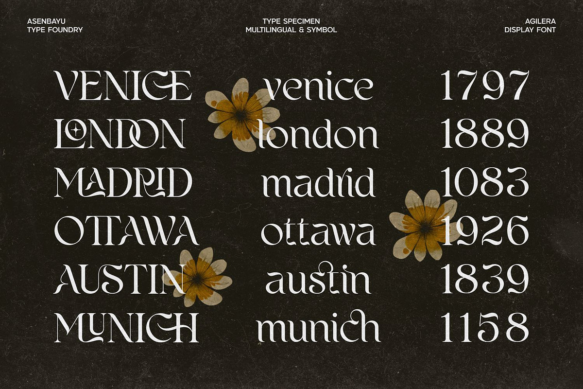 Agilera - Stylish Ligature Font, a Serif Font by Asenbayu (Photo 12 of 15)