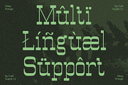 Vilkey Vintage, a Serif Font by Craft Supply Co. (Thumbnail 3 of 8)