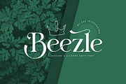 Beezle Modern Serif Font, a Serif Font by Idea Studio (Thumbnail 1 of 10)