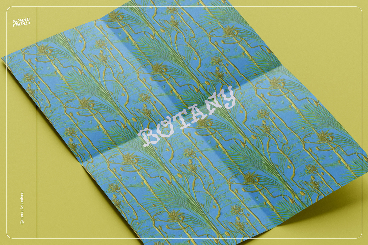 Botanical Surrealism, a Texture Graphic by Nomad Visuals (Photo 8 of 19)