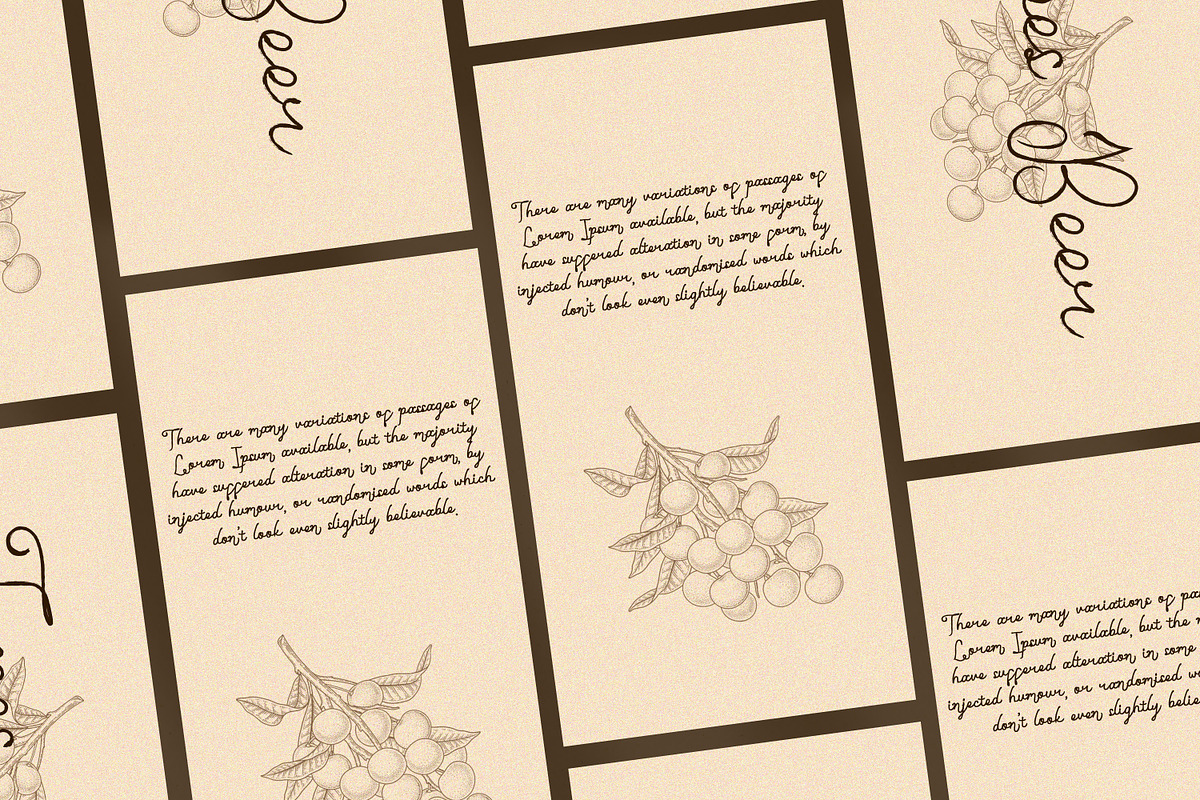 Emillam Script Fonts, a Script Font by mahstudios (Photo 3 of 15)