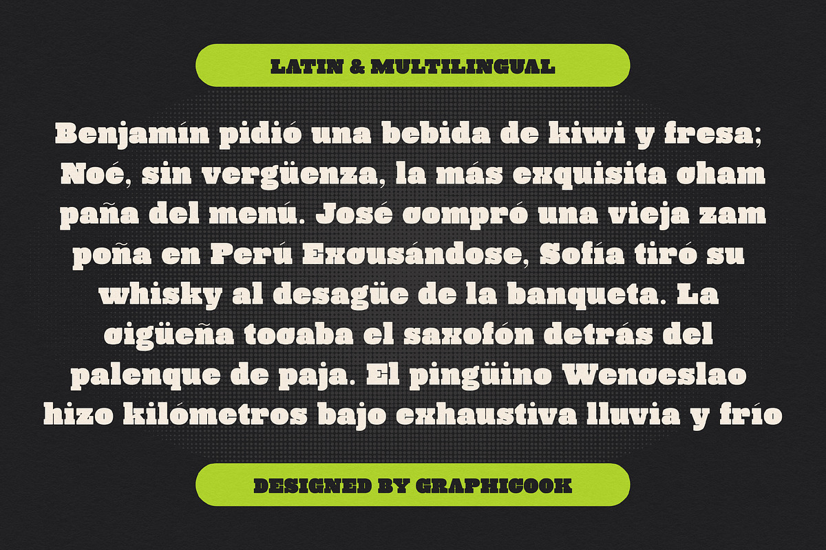Bloxerif, a Serif Font by graphicook (Photo 5 of 10)