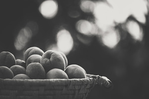 Ripe apricots on the basket stock photo containing apricot and peach, a Food & Drink Photo by Mark Borbely