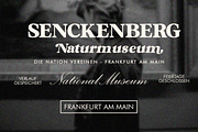Mugello Serif, a Serif Font by Romiecreative (Thumbnail 7 of 12)